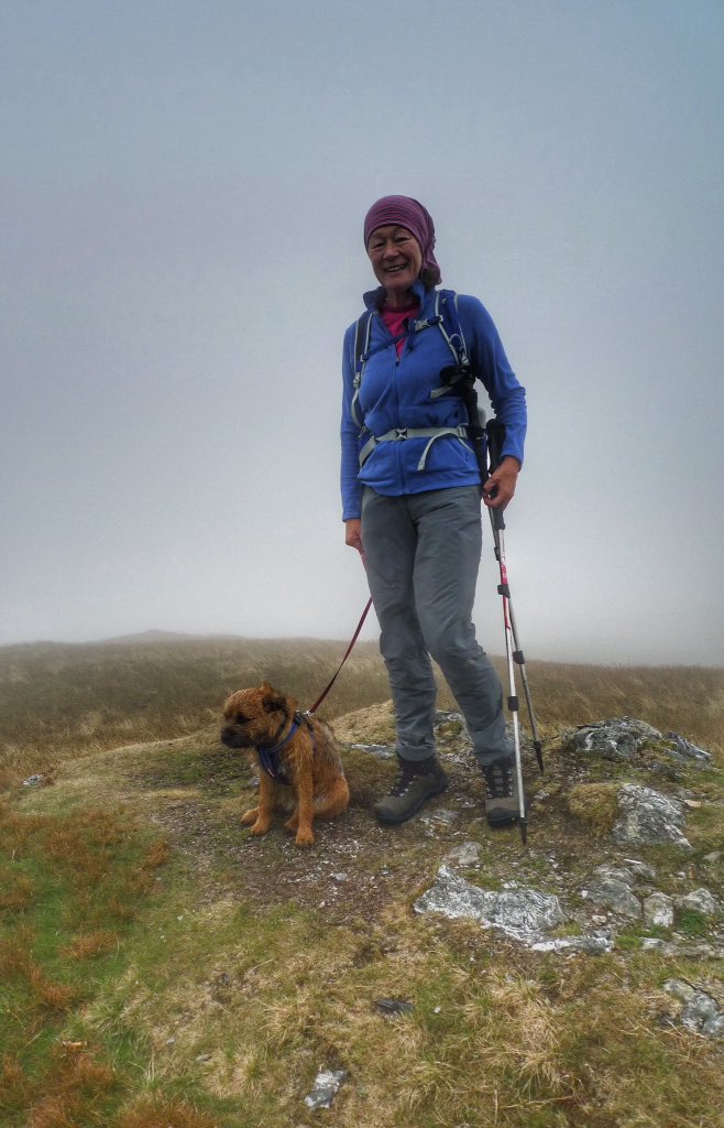 GCSScotland's tweet photo. After a dry start it was a dreich @CumbriaWeather morning in the western fells. Had an enjoyable wander over #Mellbreak and along Crummock Water with the wee dug. @BestDogPhotos https://t.co/3Ap7mIa8ky