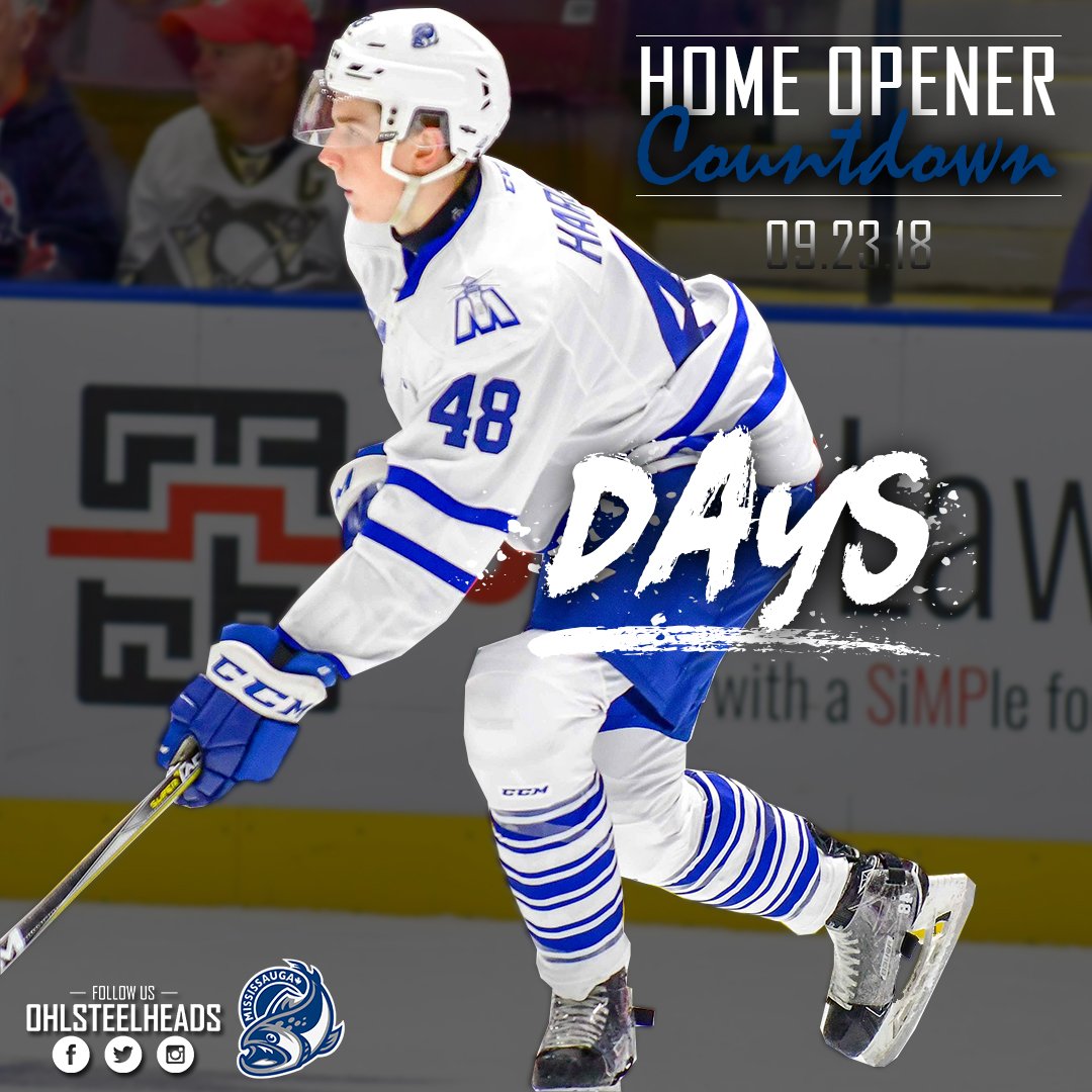 OHLSteelheads's tweet image. 4️⃣8️⃣days.... #CheerTheFish #IsItSeptemberYet 🐟