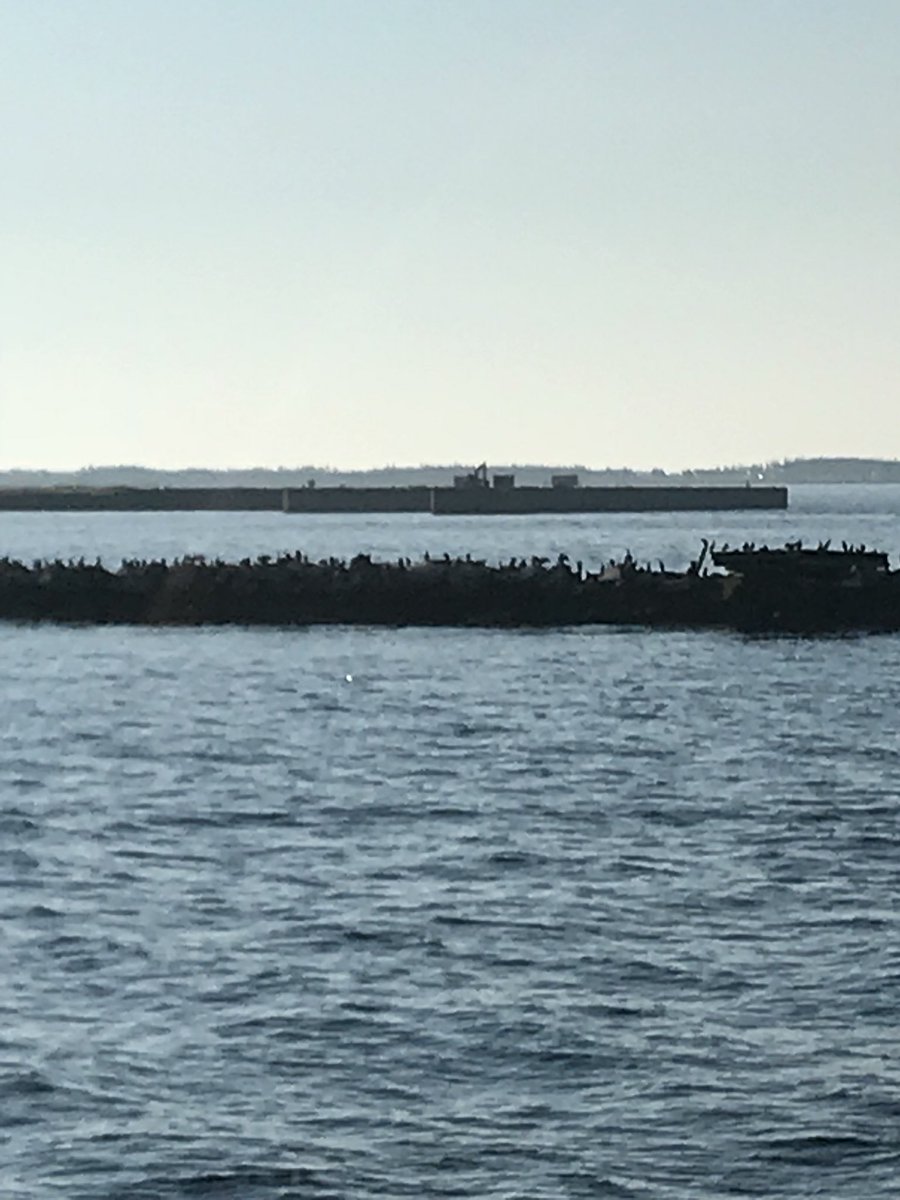 AndrewMacKay8's tweet photo. Sunrise Mackerel fishing at the Pier! No work being done at Jetty Friday - when will it be open? #CommunicationToIslanders #needtocommunicate  #peipoli #pei #heremackeral #gotafeed #BordenCarleton #whenisthejettyopen ???? @ChrisPalmerD21  @JamieDFox https://t.co/6FbTFPxin9