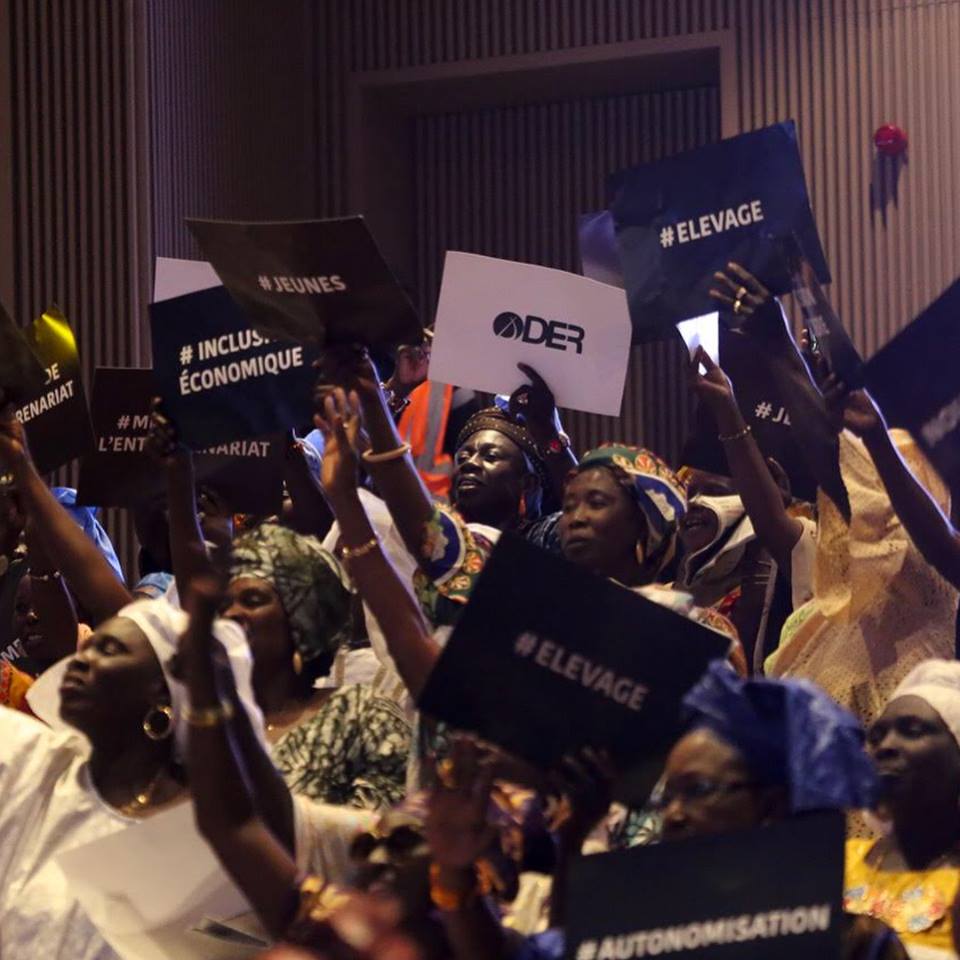 dofbi.eth🔸️ tweet media