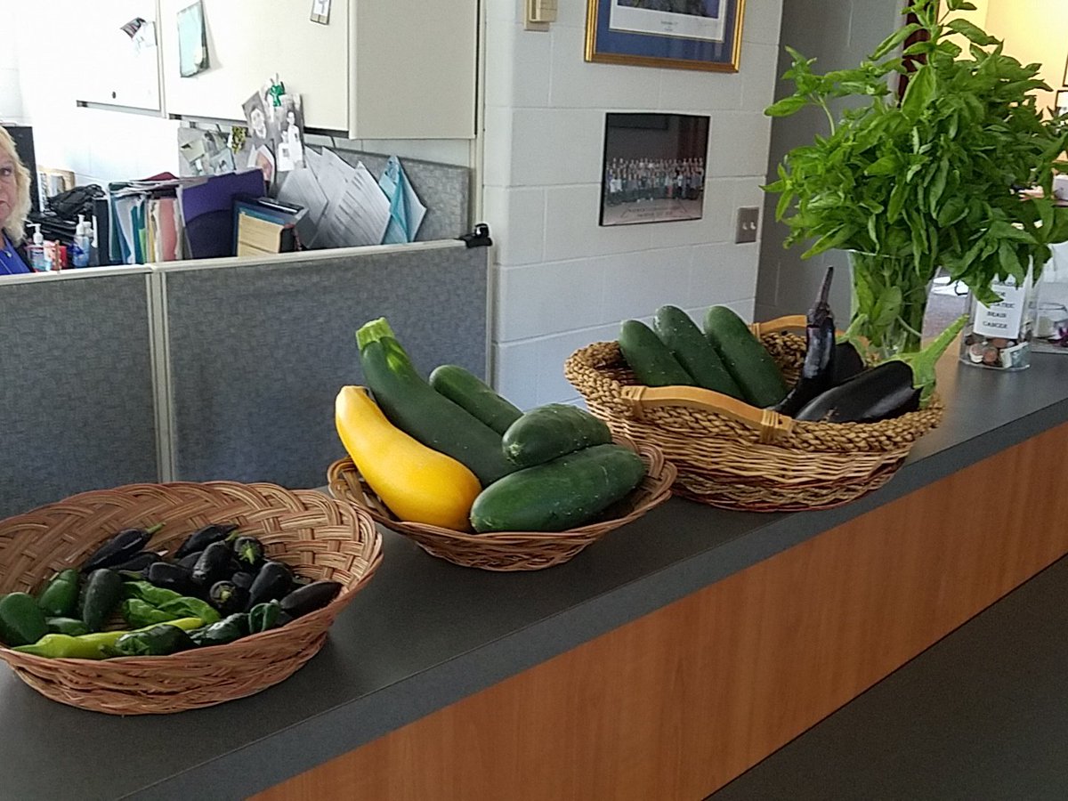 Hey Warwick Families &amp; Staff!
If you are close by and you would like some veggies from our beautiful garden, stop in before 3:30pm. 
Will retweet when they are all gone!