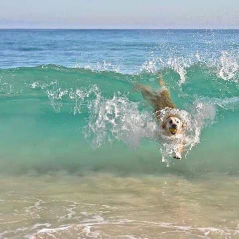 M_Zika07's tweet photo. حزنت على نفسى لما شوفت الصوره دى https://t.co/9kFwaPEO8R