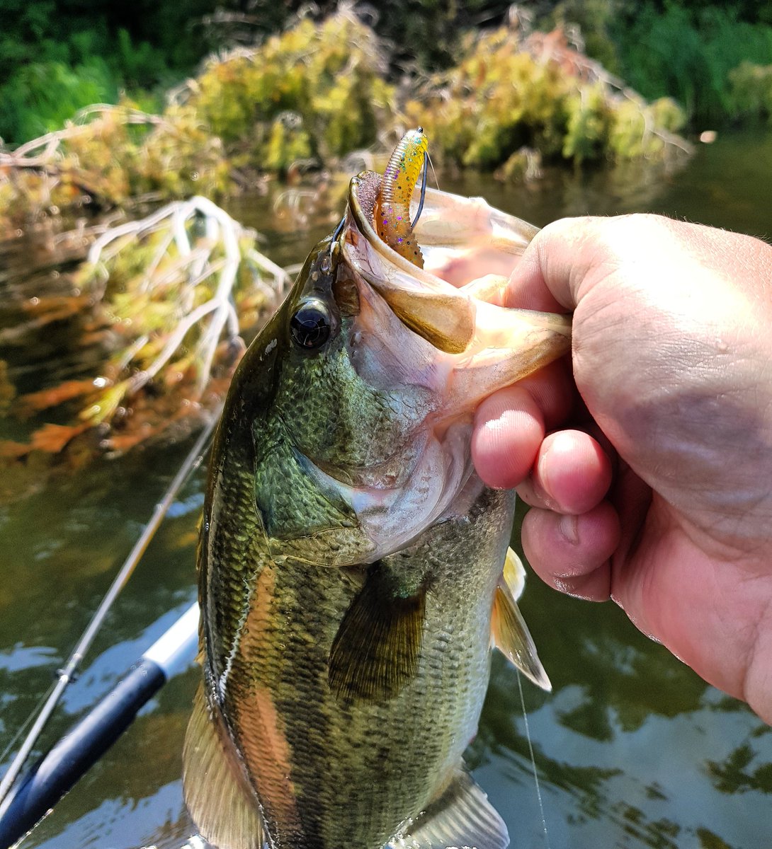 DonKelly/TackleShack (TackleShackPA) Twitter