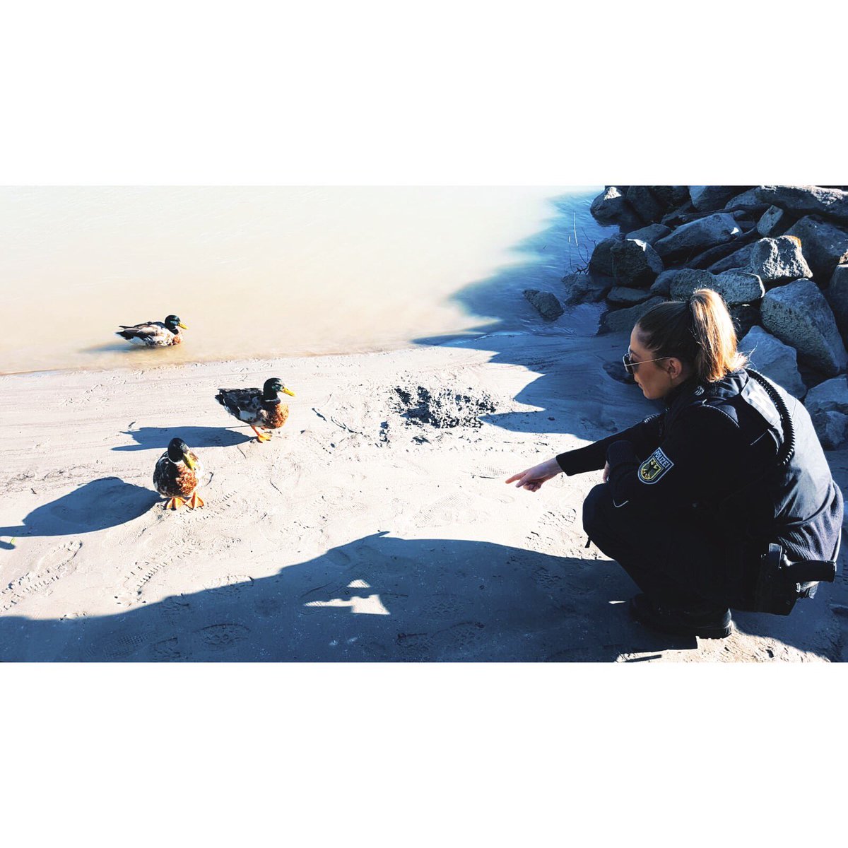 IsabellaLaboeck's tweet photo. #bundespolizei #bürgernähe #musssein 🦆 👮🏼‍♀️☝🏻@bpol_by @bpol_sport https://t.co/7L0CfTSs97