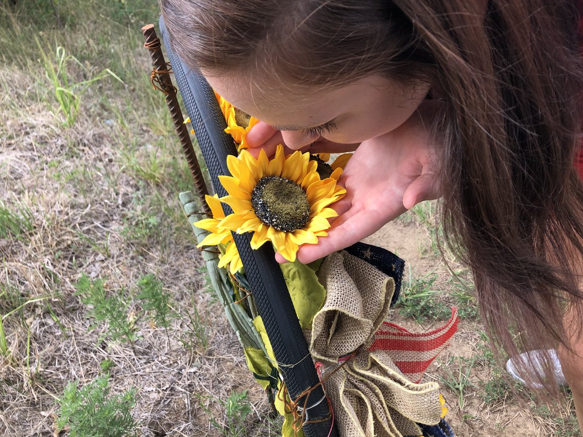 RannahHobinson's tweet photo. #LVweback #TeamFerrisWheel #sunflower https://t.co/mfGK8LYMvw