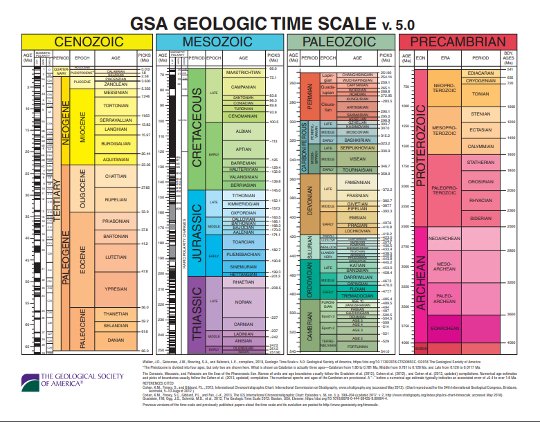 Gsa Pbs Org Chart