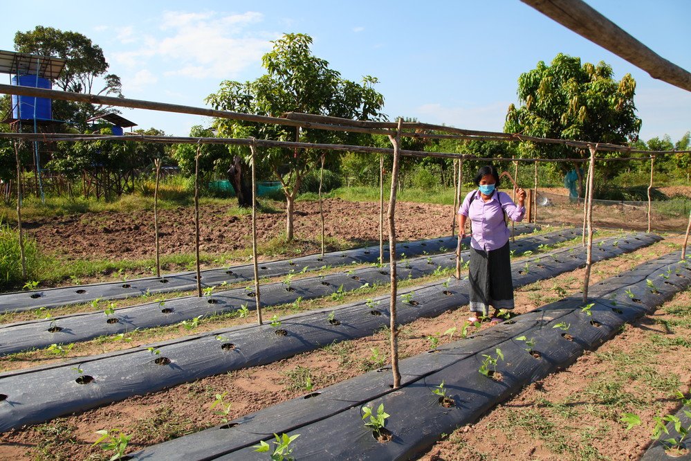 IFAD's tweet image. Common challenges in the rural world can be addressed by common solutions. 
Discover how Flexi Biogas can be used as fuel in place of wood, helping to reduce deforestation, on our Rural Solutions Portal: bit.ly/2ABWUOb

#SouthSouth #RuralSolutions #SSTC #KM4Dev