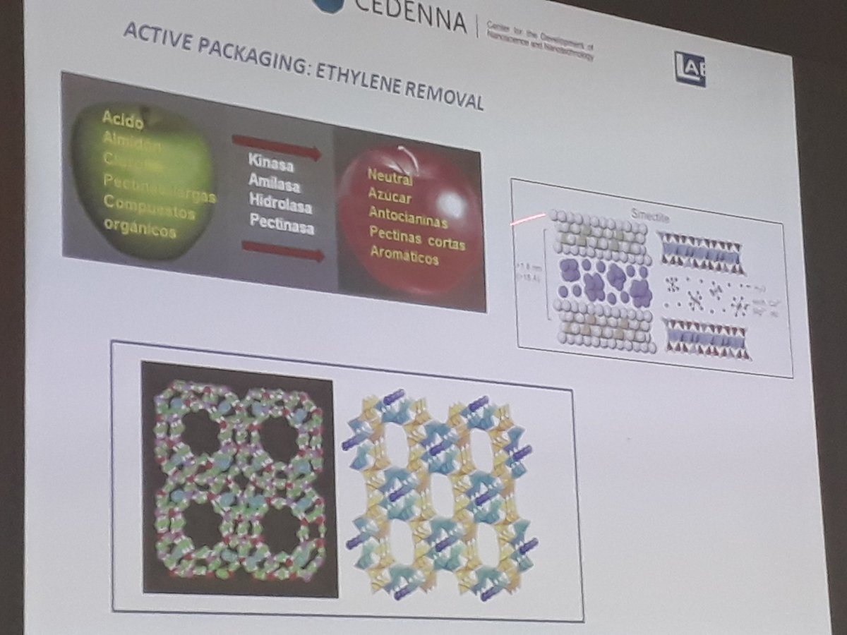 CEDENNA's tweet photo. Dra. Galotto explica cómo la zeolita tiene mejor capacidad de adsorcion de etileno para incorporarla en el envase de alimentos, por ejemplo en el caso del plátano, retrasando su maduración. En #pronano 2018, en @VIMEUSACH . https://t.co/Ekmm9j25CK