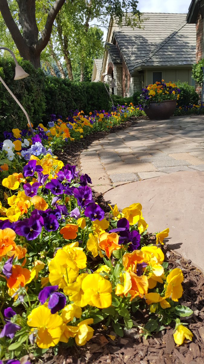 🌷 Brighten up your outdoor space! A little color goes a long way during patio season! Fill us in on your next project → smith-scapes.com. #landscaping #omaha #nebraska #patio #beautfiul #OutdoorSpaces