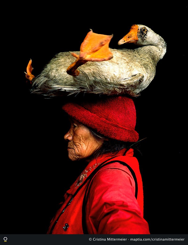 For more than two decades, through the lens of her camera, <a href="/cmittermeier/">Cristina “Mitty” Mittermeier</a> has sought out the hope and beauty woven into the fabric of all life and all peoples, from forest to ocean. Read our latest story on Maptia for a glimpse into this shimmering world: maptia.com/cristinamitter…