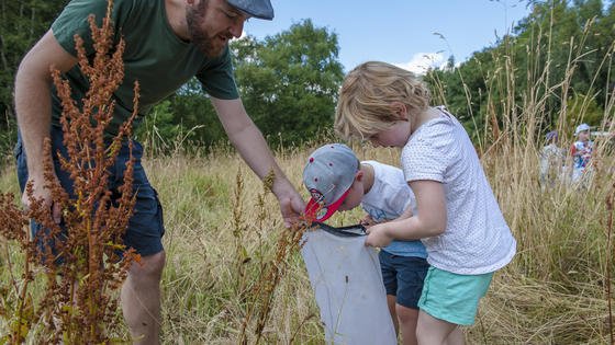 Visit Salford (@visitsalford) on Twitter photo Don't miss the adventure <a href="/SalfordCanal/">Bridgewater Canal</a> for #IncredibleInsects at #DukesDrive #Monton on Monday 20 August. More details can be found at socsi.in/TAZiO Don't miss the adventure <a href="/SalfordCanal/">Bridgewater Canal</a> for #IncredibleInsects at #DukesDrive #Monton on Monday 20 August. More details can be found at socsi.in/TAZiO