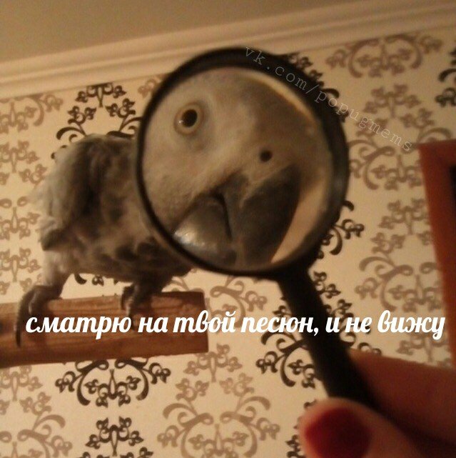 Dj7ayTeW4AIKb7D?format=jpg&name=small