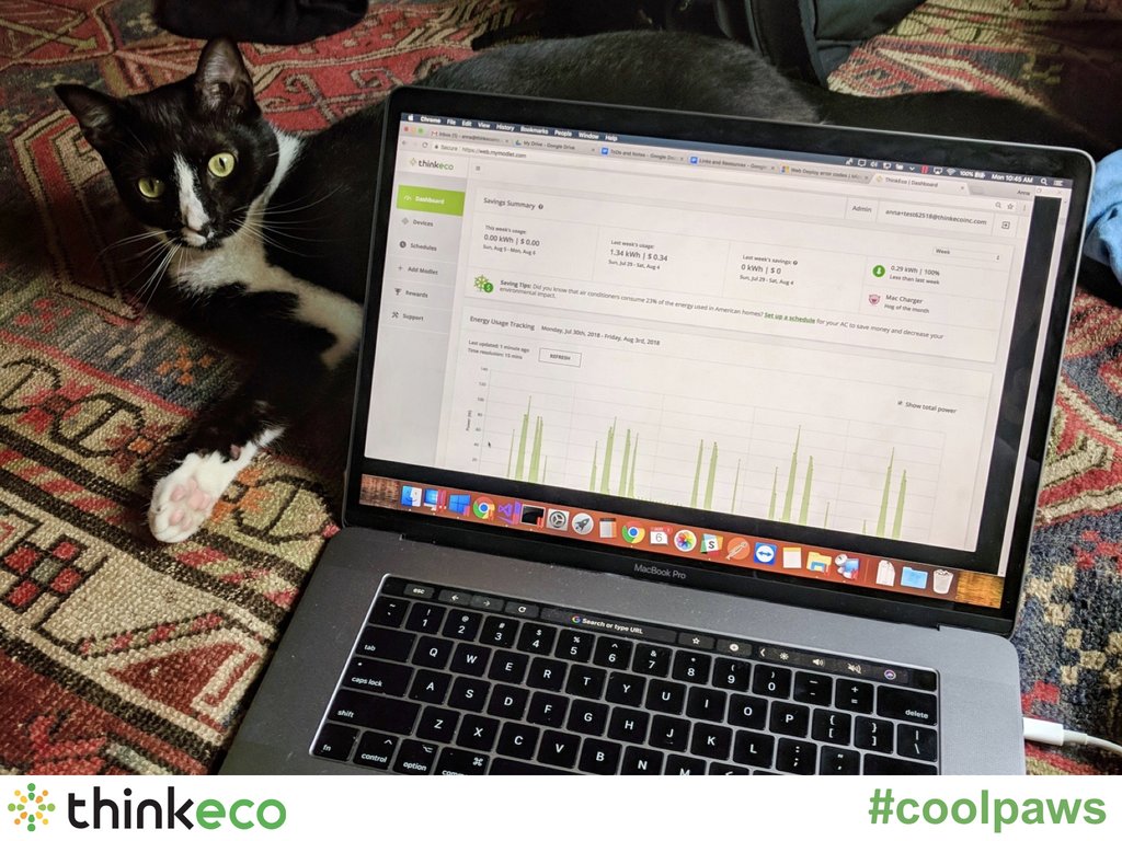 ThinkEco's tweet image. Cosmo supervises his owner Anna while she sets a pet schedule for her A/C. He can now stay cool even when she’s not home! #coolpaws