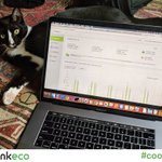 Photo by ThinkEco (@ThinkEco)