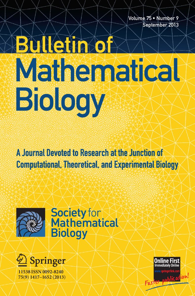 besser als mathe moderne angewandte mathematik aus dem