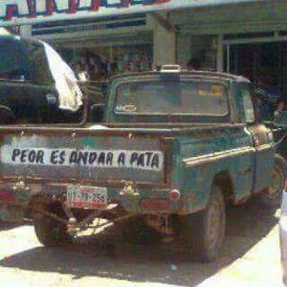 dAndrusco's tweet image. 