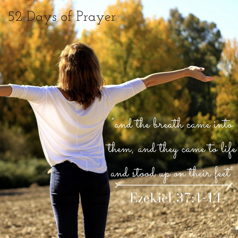 TWSChurch's tweet photo. Day 6 of our #52DaysOfPrayer!
Join us in prayer as we ask God to breathe life into the dry, dead situations families are experiencing. He can, and He will!
#FFFConf2018 #TWSCC https://t.co/uMe9oQp34y