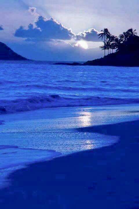 vinie malik (@viniesrk) on Twitter photo 