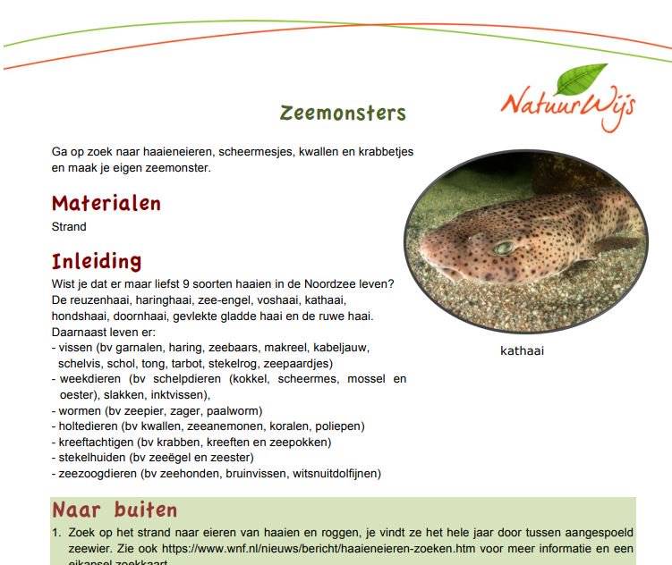 NatuurWijs's tweet image. Wie gaat er mee naar zee? Download onze nieuwste 'Nu naar buiten'-activiteit Zeemonsters. Leuk voor groot en klein! natuurwijs.nl/nu-naar-buiten