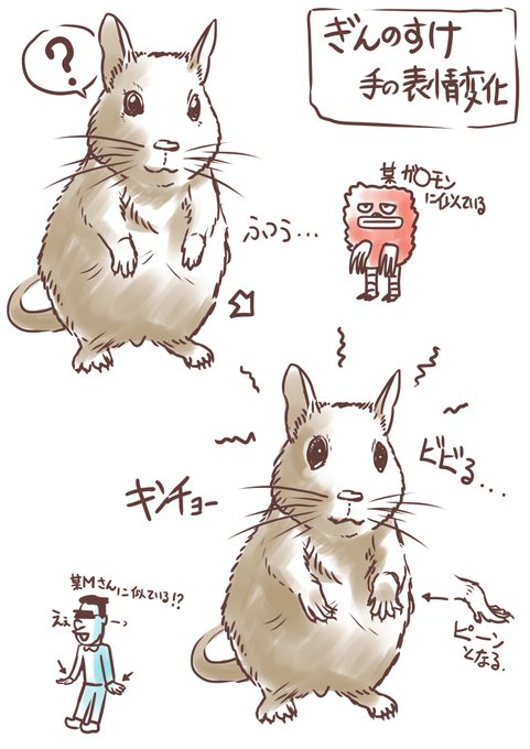 デグーのtwitterイラスト検索結果 古い順