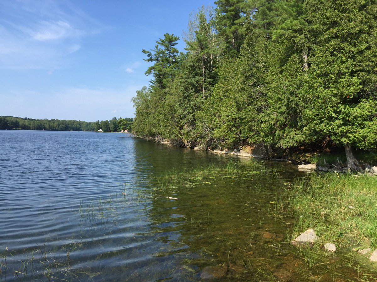 It's the last day of the long weekend...make it count and get your 30 mins of nature!! 🐍🐢🌲
#30x30challenge #HPHP #CivicHoliday <a href="/OntarioParks/">Ontario Parks</a>