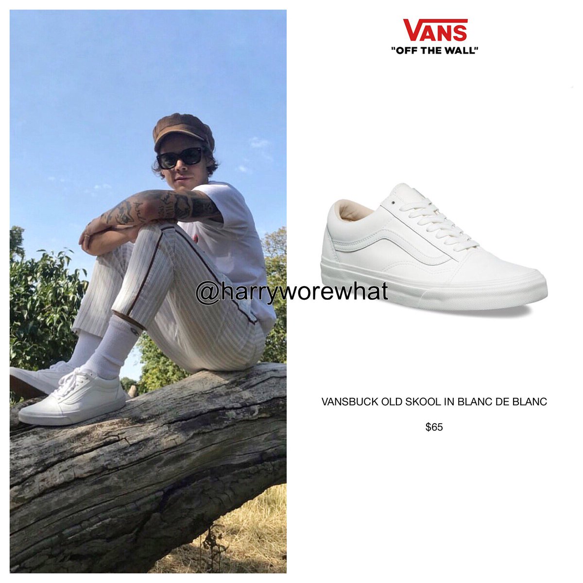 harry styles vans shoes