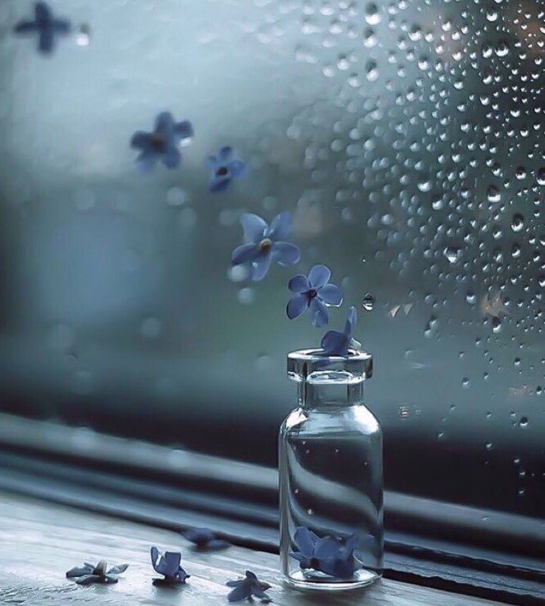 AJMLKALM's tweet photo. كُلما تقدم بنا العمر ، زاد يقيننا أن تلك الحياة لا تستحق منا كل هذا الألم ، ترحل متاعب وتأتي غيرها .. قد تموت ضحكات فتُولد أُخرى ، يذهب البعض يأتي أخرون هي مُجرد "حياة"..✍🏻 https://t.co/nOc3uu3AKE