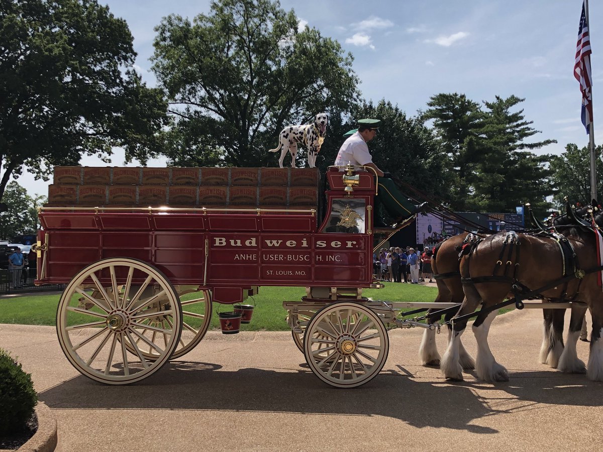 Best <a href="/PGAChampionship/">PGA Championship</a> Monday ever?! @stlwizard, the Budweiser Clydesdales and Bud (the Dalmatian) deliver the Wanamaker 🏆 to Bellerive C.C. #PGAChamp