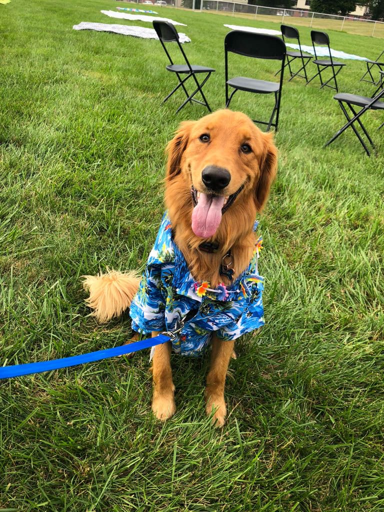1LECOM's tweet photo. The annual College of Medicine SGA Welcome Picnic was full of sunshine, dogs, prizes, and Federal Hill Smokehouse... what more could you really ask for? πππΊ #lecom2022 https://t.co/T6sQNaYgTj