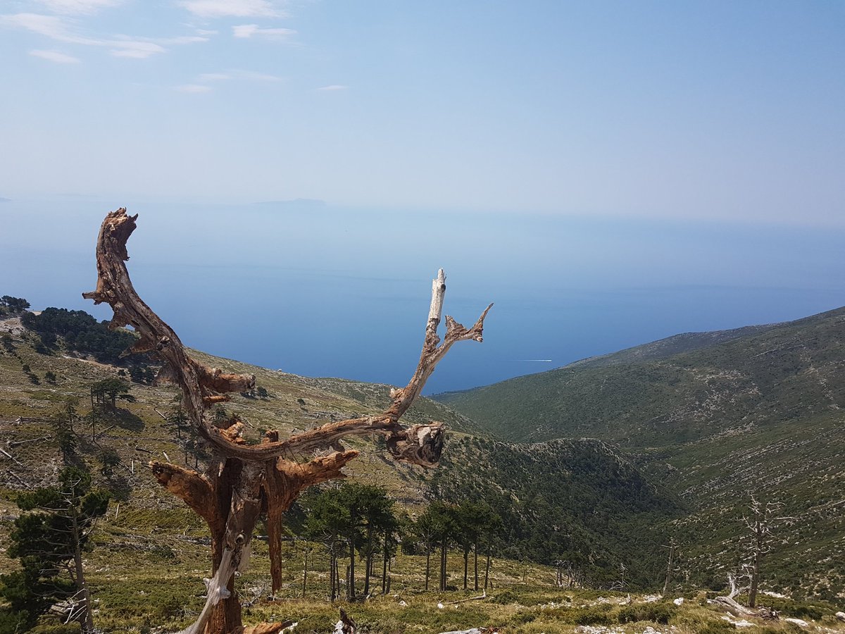 CastelRaid36's tweet image. Jour 9 : Albanie 🇦🇱 [4/4]
Malgré le fait qu'on ait vraiment pas aimé ce pays, on a réussi à trouver un endroit sympa le lendemain et à prendre quelques photos sympathiques lors de cet épisode albanais de 500km qu'on vous poste ici.