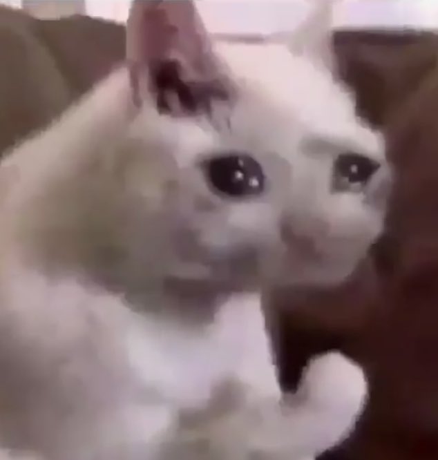 Me when i accidentally hit my toe on the rock, instead of the ball.