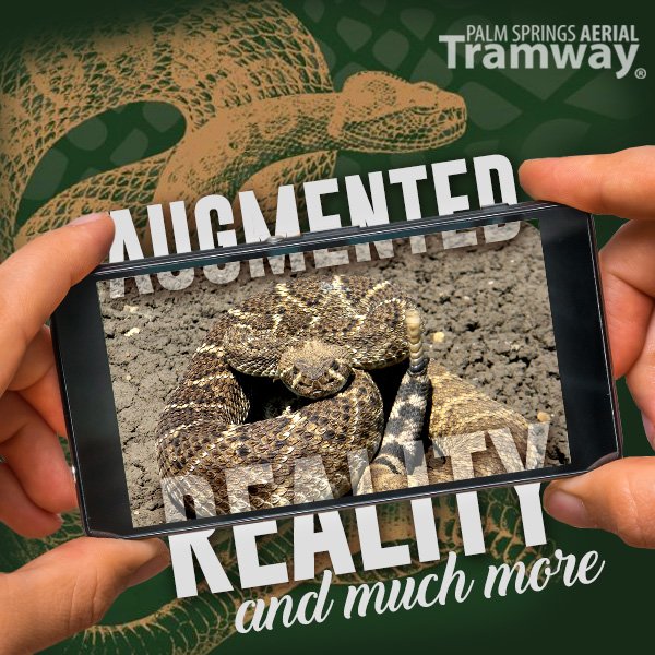 PSTramway's tweet photo. Want to see a rattlesnake up close and safe? Check out the augmented reality rattlesnake in the Palm Springs Aerial Tramway Mobile Tour!
Download here:
iPhone: https://t.co/STwfp3OS28
Android: https://t.co/hIjpzOVjvi
#PSTramway #PalmSpringsAerialTramway #PSTramwayMobileTour https://t.co/dJ6slaOkeu
