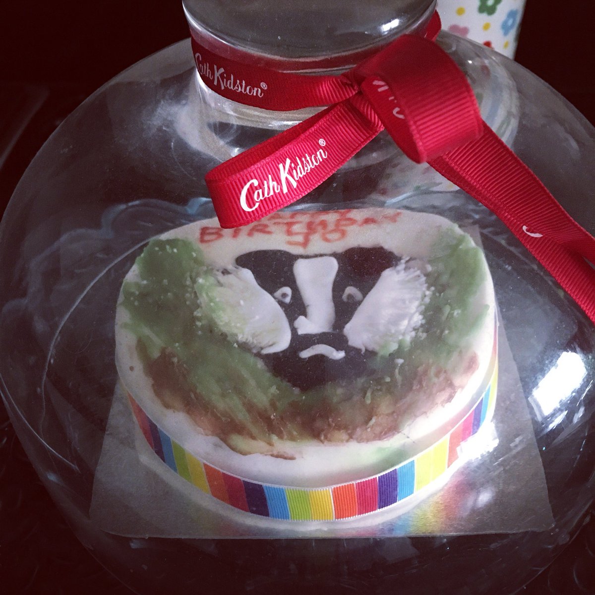 JoSmithDWT's tweet photo. Surprise badger birthday cake! #Homemade #StopTheCull #SooooOld https://t.co/Axk31DHQiI