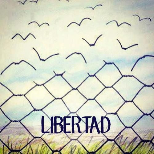 Ji_Predicciones's tweet photo. En Venezuela hay cosas mucho más importantes que el polémico dron: Falta de medicamentos, falta de comida, salarios de miseria, falta de transporte y falta de insumos médicos en hospitales, entre otros. Eso sí es un atentado terrorista contra todo un país. ¡Despierta, Venezuela! https://t.co/JyBDOYkFU5