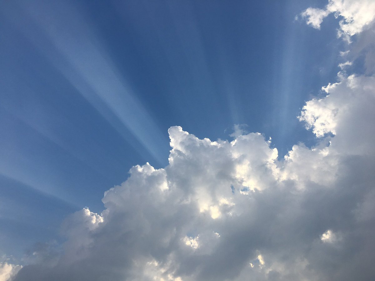 Ed_Durham's tweet image. 