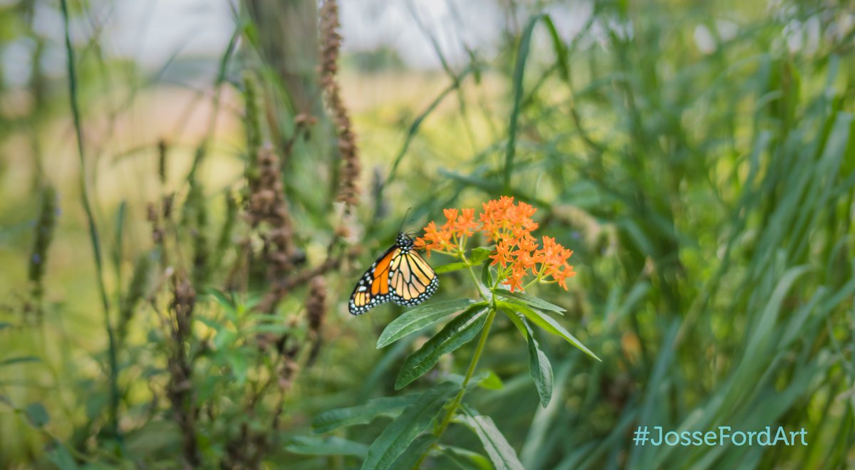 Transformation is always a wonder!