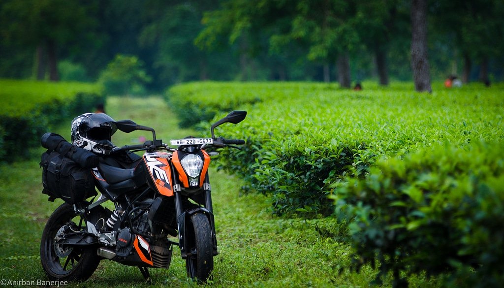 KTMamman's tweet photo. Explore a new world with KTM
#KTM #RACING #READYTORACE #KTMPowerWear #race #neverstrongenough #KTMAmman #BeAmman #LoveJo #DarwazehMotors #bikersofinstagram #race #racing #beauty
Photo Credit to: Anirban Banerjee https://t.co/BPFLk9eEuj