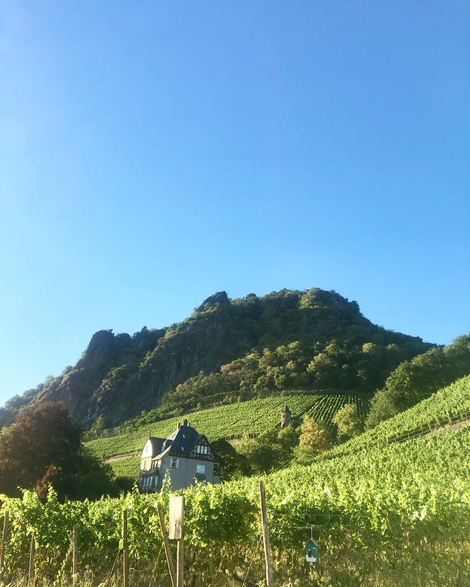 Monday blues in #germany