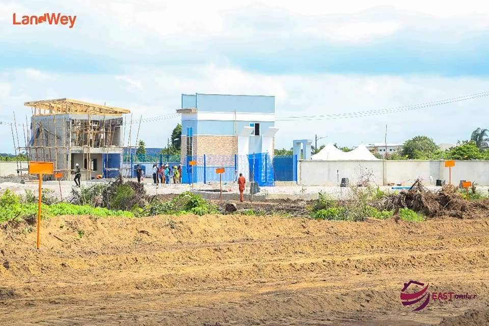 habibah shehu tweet media