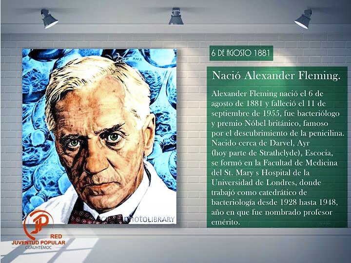 JPCuauhtemoc's tweet photo. HOY EN LA HISTORIA 

6 de Agosto 1881

Nació Alexander Fleming.

#HoyenlaHistoria
#AlexanderFleming
#JPCuauhtémoc
#ActitudTransformadora https://t.co/LfHrOD8ePY