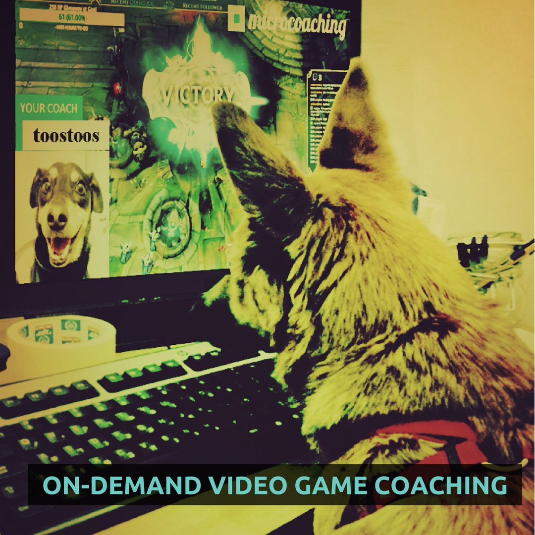 microcoaching tweet media