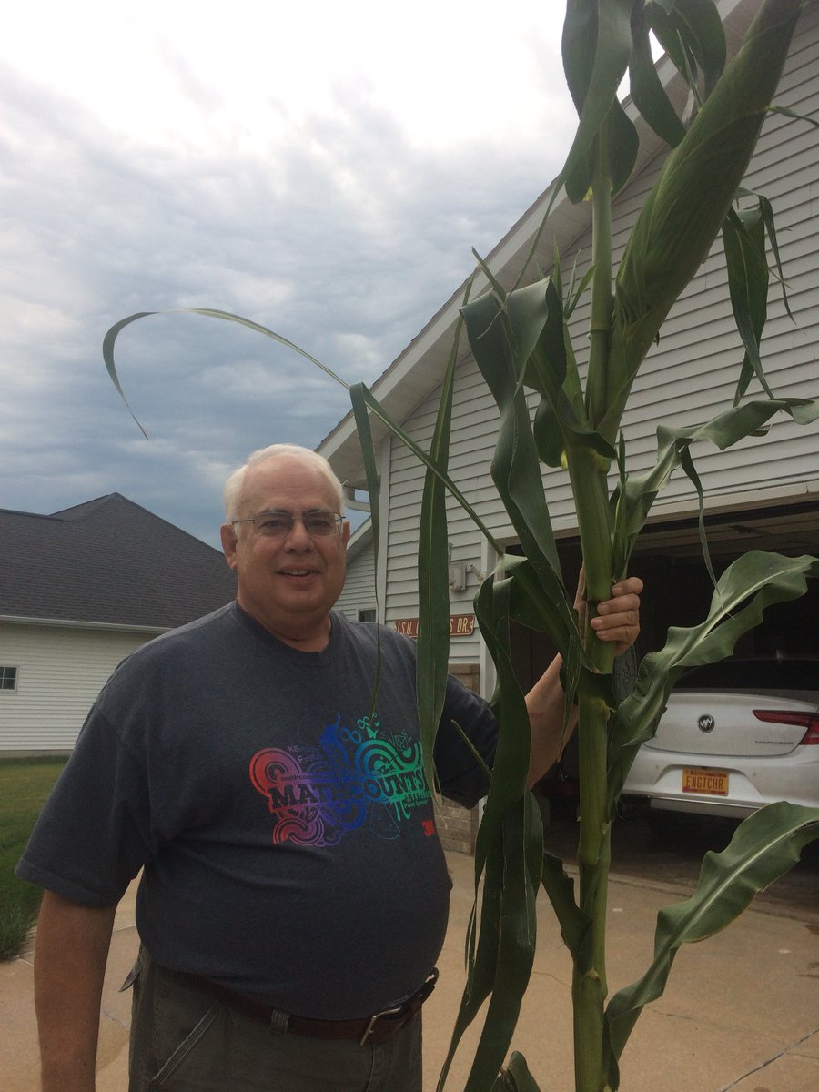 RKZelle's tweet photo. @MarketToMarket Are you ready for the 85th annual Tall Corn Contest at the Iowa State Fair?  Entries due To Pioneer Hall by Noon Wednesday   These contestants are entering are you? https://t.co/Lbyyb59ssN