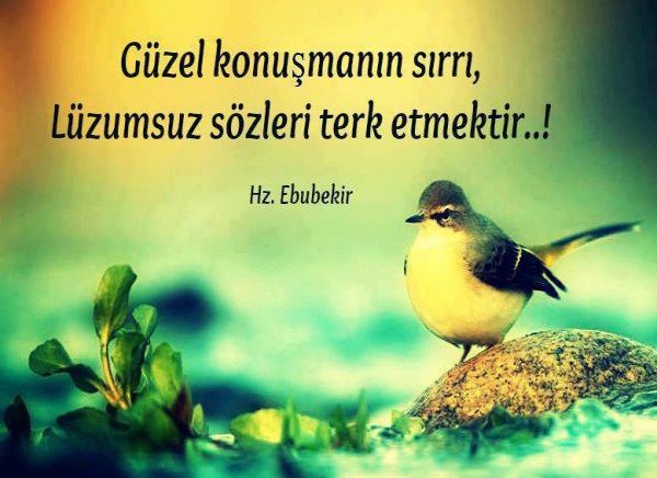 GuzelKonusmaninSirri #ÖzelEğitimSertifikayaKarşı