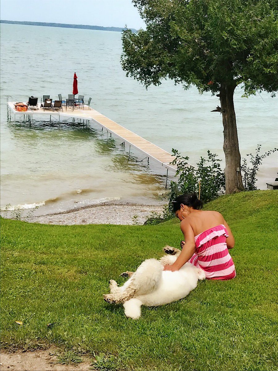 UTheKnockOut's tweet photo. ☀️☀️☀️Happy long Civic Weekend friends!...Got those long-weekend vibes☀️☀️☀️Doesn’t get much better than this... cottage life whilst hanging with Dante and Penelope♥️Hope everyone is well, taking it easy and enjoying life! #civicweekend #ontario #canada #ursulastolf https://t.co/AgFM2rX1S7