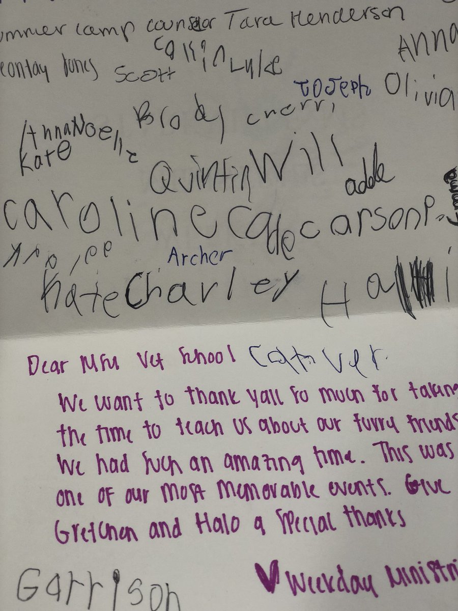 MSUShelterMed's tweet photo. Our team loves receiving sweet notes like this! #ShelterMed #AnimalsInFocus https://t.co/ynAbEQONhO