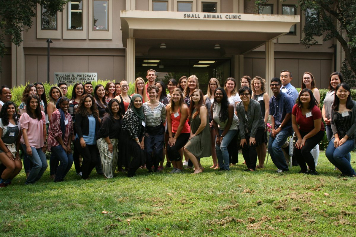UCDavis_PHSEDU's tweet photo. Happy first day of classes! #ucdmphprogram #mph1819students #publichealth #futuremphgrads #welcome #ucdavisgradstudents #goags https://t.co/OdgOgRX1M4