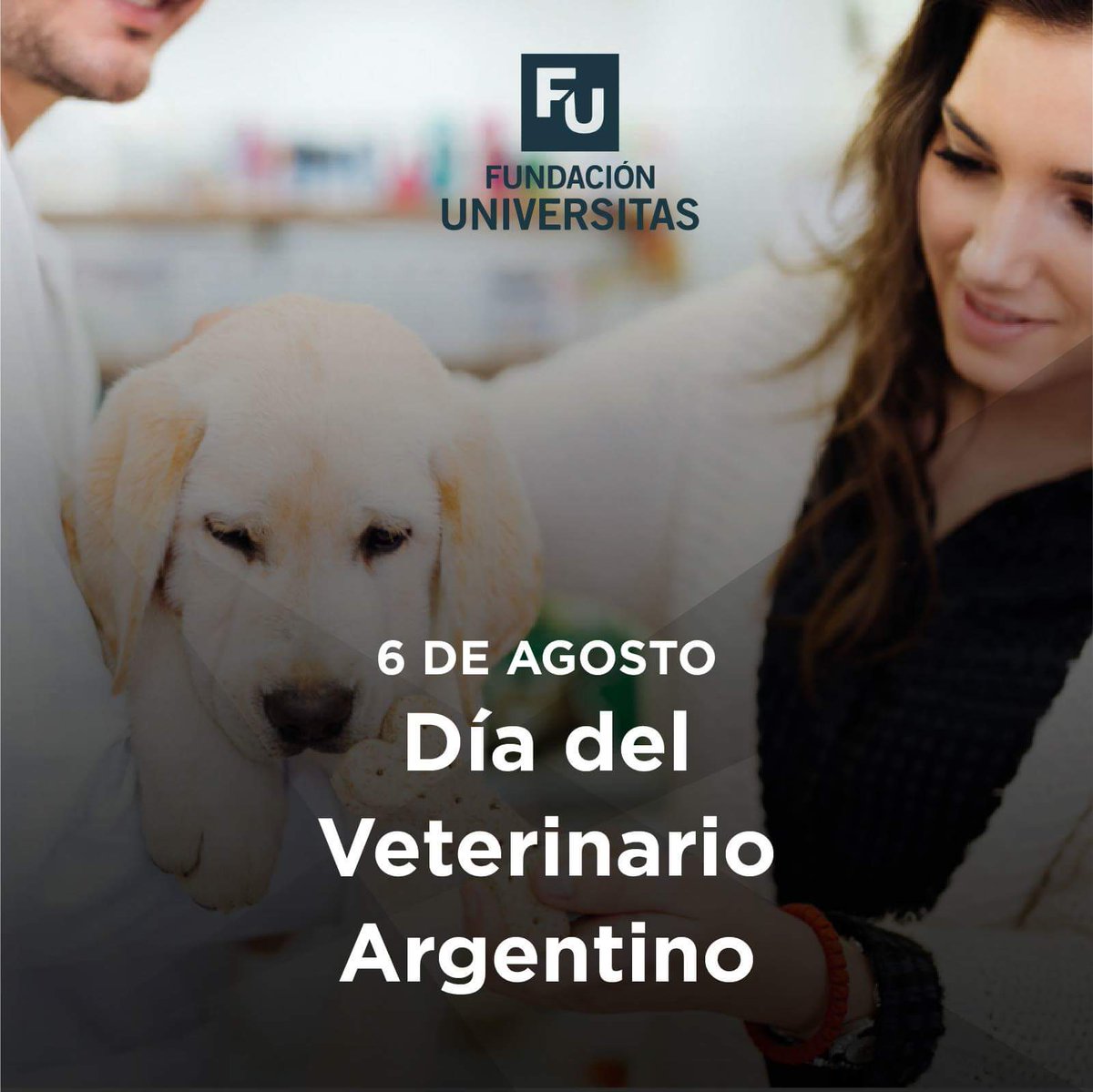 Felicidades a quienes comparten el amor y la pasión por el cuidado a los animales.

¡Feliz día Veterinarios!