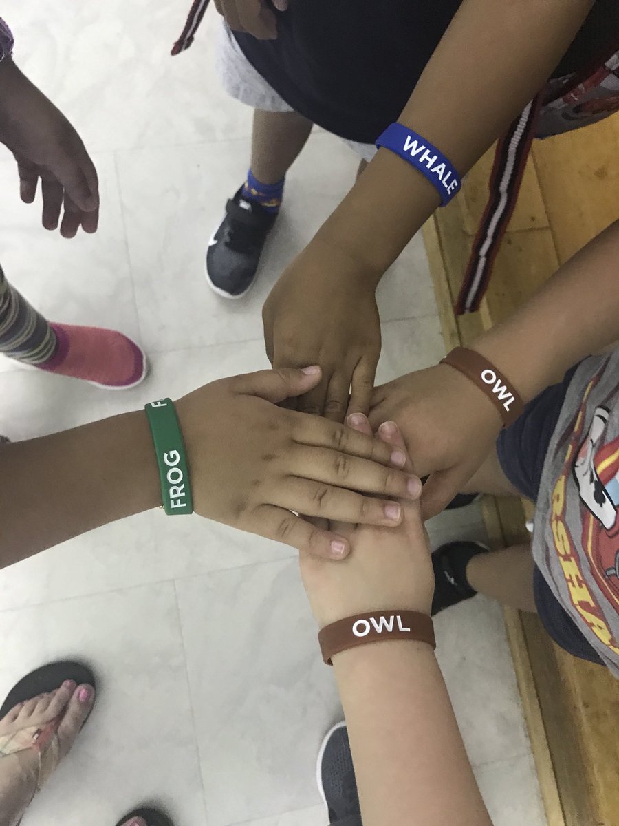 PrudhommeSBCE's tweet photo. Pre-K is getting home on the right bus/ thanks to these handy bus bracelets! Day 1- done! ✅#SBCEbobcats @SBCEprincipal @montygb3ll https://t.co/nUaZJ59CB1