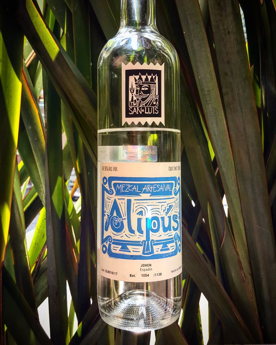 colorido_bicho's tweet image. El mezcal espadín huele a tierra húmeda, es una aroma muy romántica. ¡ #MeDeclaroCulpable porqué #QuieroMiAlipús de @MezcalAlipus !🖤