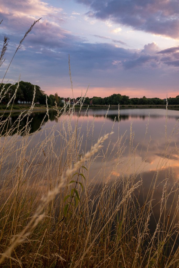 tjbarz's tweet photo. Refresh yourself

#harz #harzkind #exploreharz #outdoor #natur #nature #landschaft #landscape #JWshutterbugs #jwphotography #iphone8 #iphoneography #see #lake #water #wasser #clausthalzellerfeld #clz #waldseebad #abkuehlung #refresh #refreshing #abendrot #sonnenuntergang #sunset https://t.co/1sTKjiJupt